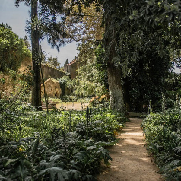 BIODIVERSIDADE EM ESPAÇOS NATURAIS de Viana do Castelo by CENTRO